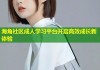 海角社区成人学习平台开启高效成长新体验