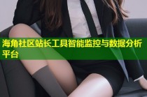 海角社区站长工具智能监控与数据分析平台