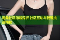 海角社区问题深析 社区互动与管理挑战揭秘