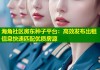 海角社区房东种子平台：高效发布出租信息快速匹配优质房源