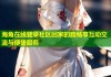 海角在线登录社区回家的路畅享互动交流与便捷服务