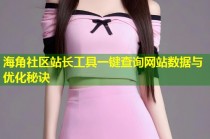 海角社区站长工具一键查询网站数据与优化秘诀