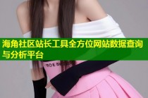 海角社区站长工具全方位网站数据查询与分析平台