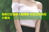 海角社区被抓人数揭秘 社区互动真相大曝光