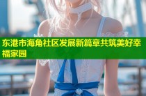 东港市海角社区发展新篇章共筑美好幸福家园
