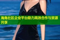 海角社区企业平台助力高效合作与资源共享