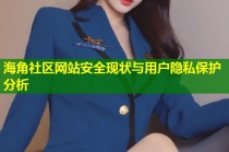 海角社区网站安全现状与用户隐私保护分析