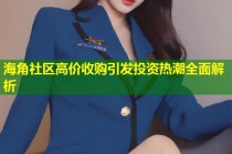 海角社区高价收购引发投资热潮全面解析