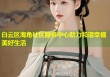 白云区海角社区服务中心助力和谐幸福美好生活