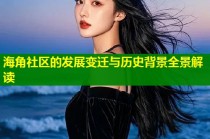 海角社区的发展变迁与历史背景全景解读
