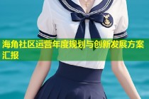 海角社区运营年度规划与创新发展方案汇报