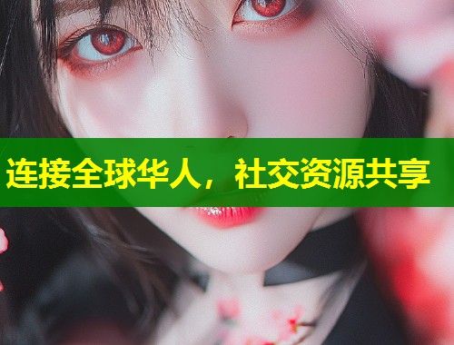 连接全球华人，社交资源共享  第1张