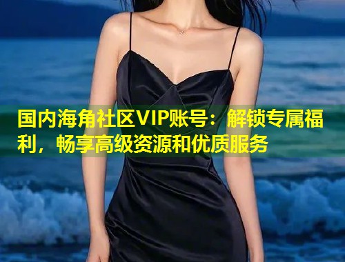国内海角社区VIP账号：解锁专属福利，畅享高级资源和优质服务  第1张
