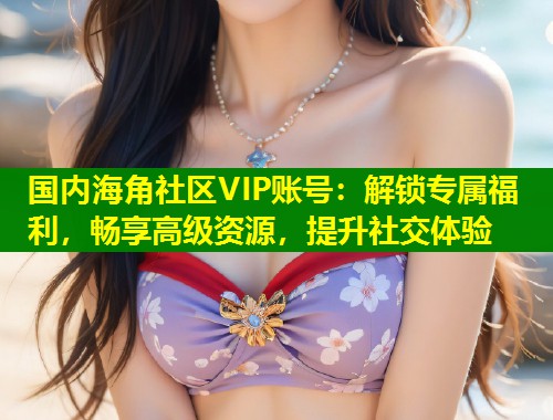 国内海角社区VIP账号：解锁专属福利，畅享高级资源，提升社交体验  第2张