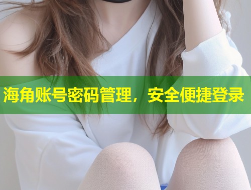 海角账号密码管理，安全便捷登录  第1张