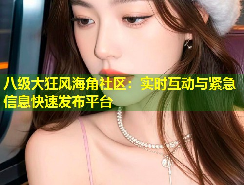 八级大狂风海角社区：实时互动与紧急信息快速发布平台  第1张