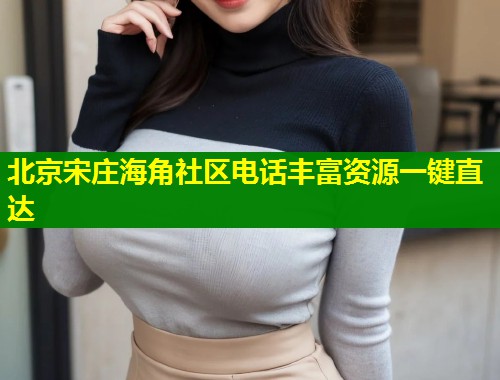 北京宋庄海角社区电话丰富资源一键直达  第1张