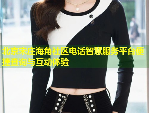 北京宋庄海角社区电话智慧服务平台便捷查询与互动体验  第1张