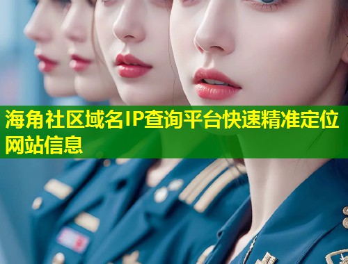 海角社区域名IP查询平台快速精准定位网站信息  第1张