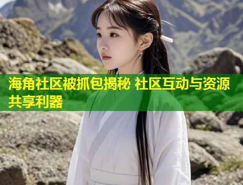 海角社区被抓包揭秘 社区互动与资源共享利器  第1张