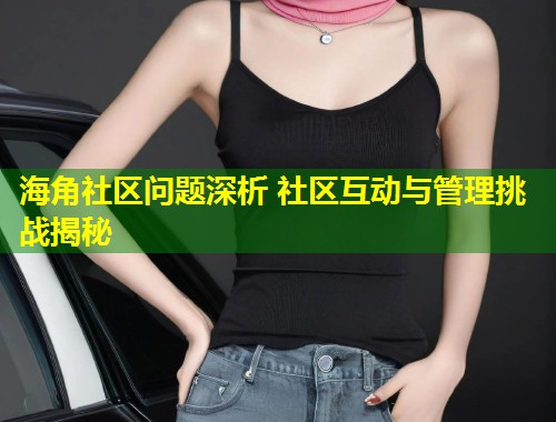 海角社区问题深析 社区互动与管理挑战揭秘  第1张