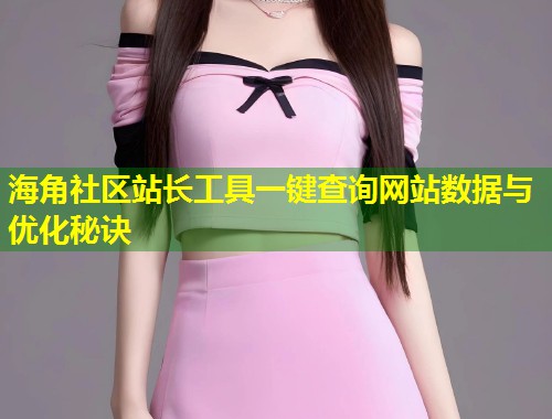海角社区站长工具一键查询网站数据与优化秘诀  第1张