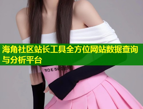 海角社区站长工具全方位网站数据查询与分析平台  第1张