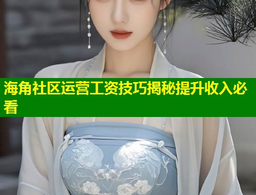 海角社区运营工资技巧揭秘提升收入必看  第1张