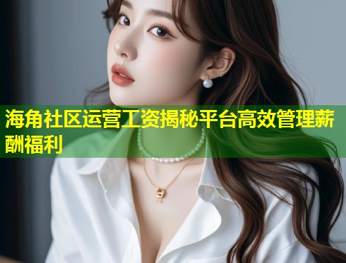 海角社区运营工资揭秘平台高效管理薪酬福利  第1张
