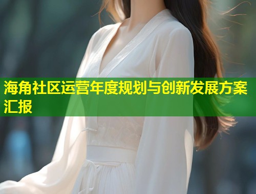 海角社区运营年度规划与创新发展方案汇报  第2张