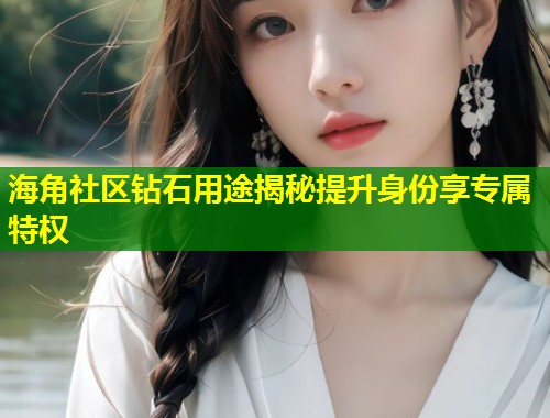 海角社区钻石用途揭秘提升身份享专属特权  第1张
