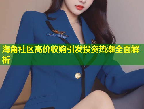 海角社区高价收购引发投资热潮全面解析  第1张